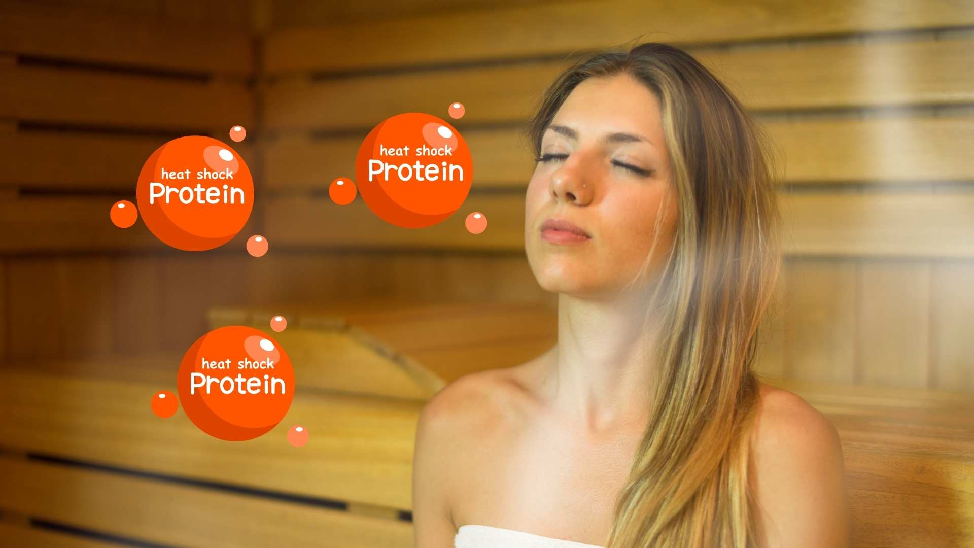 heat shock proteins